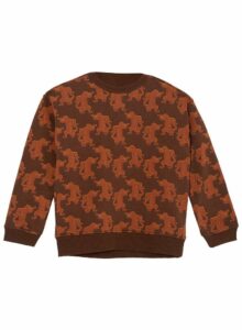 Ammehoela sweater Rocky tiger
