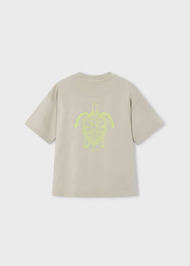 Boston T-shirt Turtle