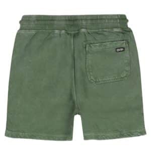 Tumble 'n Dry short Big Swell