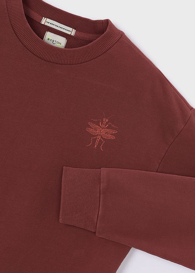 Boston sweater Dragonfly